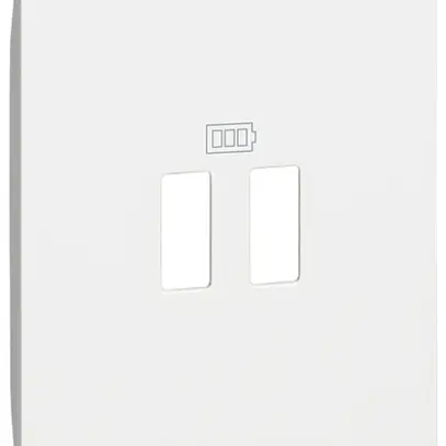 Cache Living Now 2 modules pour prise USB type A blanc 