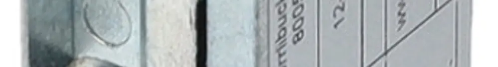 Türöffner BSW B6001--B Arbeitsstrom Radiusfalle links/rechts 12…24V 