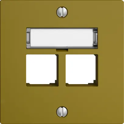 Kit di montaggio S-One EDIZIOdue F per 2×RJ45 diritto, olive 
