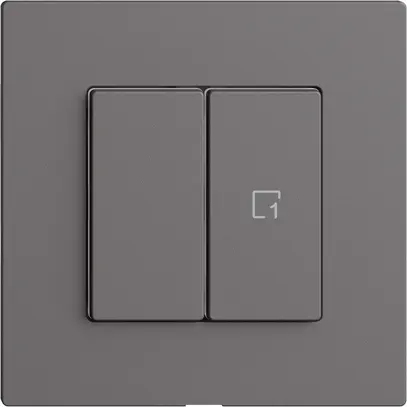 Interruttore 1K/2T scena Edue Wiser grigio scuro 