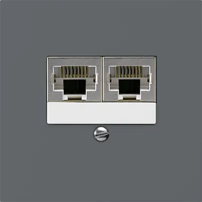 Scatola INC kallysto 2×RJ45s separato antracite 