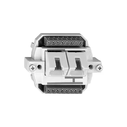 Prise BSE 2RJ45 séparé ITplus 