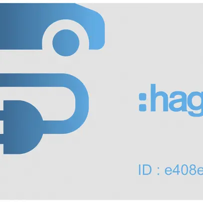 Karte Hager für Ladestation witty mit RFID, Set à 20 Stück 