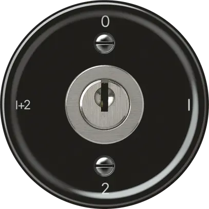 Interruttore a chiave origin comm.serie 1/1L 16A 250V 0-1-2-1+2 60×60mm ne 