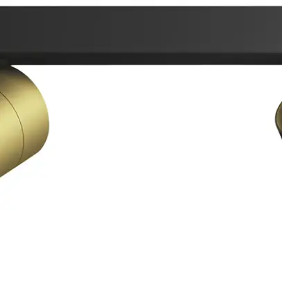 Spot Philips Idris GU10 2×5W IP44 240×119mm noir/laiton 