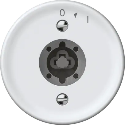 Pulsante rotativo origin senza cilindro 1P 0<1 10A 230V 60×60mm bianco 