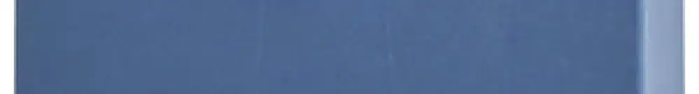 Bloc de distribution PX PTFIX 2X4 BU 