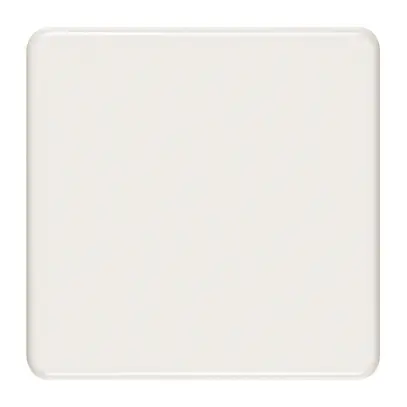 Plaque de recouvrement 2×2 pleine blanc 