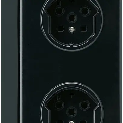Combinazione AP 2×1 HA basico 2×tipo 15 con morsetti a innesto nero 