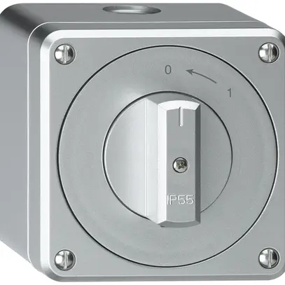 AP-Schwenktaster robusto IP55 aluminium 1P 