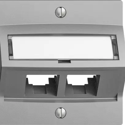 Kit de montage S-One EDIZIOdue F pour 2×RJ45 oblique, silver 