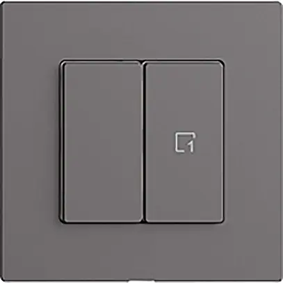 Interruttore 1K/2T scena WLAN Edue Wiser grigio scuro 