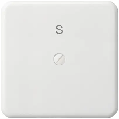 Placca di copertura basico grd.III mat.sint. bianco con incisione S 