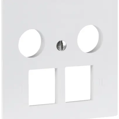 Plaque frontale R&M MM 2×RJ45 2×coaxial 60×60mm blanc 