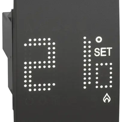Thermostat Living Now avec display 230V 2 modules noir 