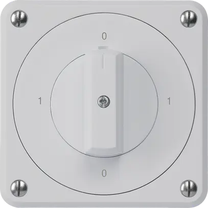 Interruttore rotativo INC robusto IP55 S0/1P grigio per combinazione 