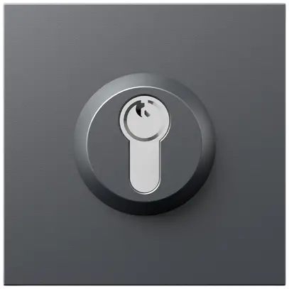 Module serrure Siedle indépendant du système 0…48V gris 