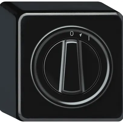 Pulsante rotativo AP origin 1P 0<1 1P 0<1 10A 230V 88×88×54mm nero 