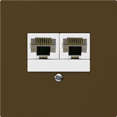 Boîte ENC kallysto 2×RJ45u brun parallèle 