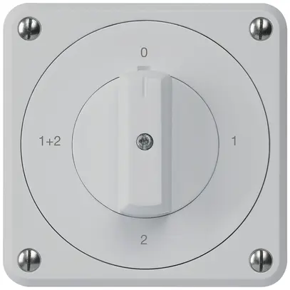 Interruttore rotativo INC robusto IP55 S1/1P grigio per combinazione 