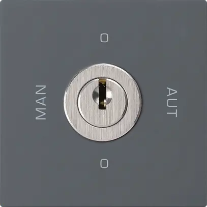 Intérieur interrupteur à clé 0-Man-0-Aut. kallysto 2/1L anthracite avec serrure 