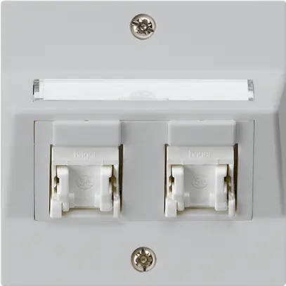 Prise ENC kallysto A cat.5e 2RJ45/u gris clair 