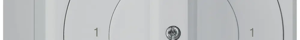 Interruttore rotativo AP robusto IP55 schema 0/1P grigio 