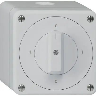 Interruttore rotativo AP robusto IP55 schema 0/1P grigio 