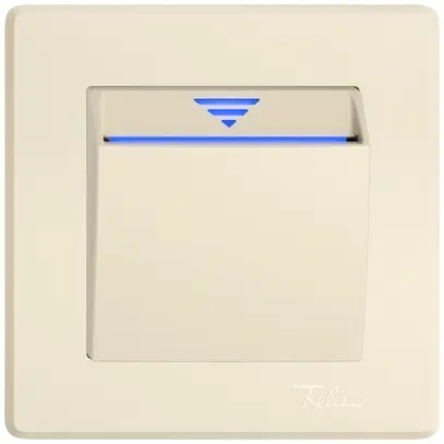 Hotelcard KNX ENC EDIZIO.liv SNAPFIX® avec coupleur BUS cr 
