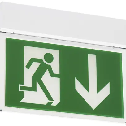 Lampada di emergenza CLED 12 N-230VAC/DC 303×235×44mm 