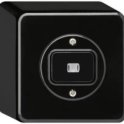 Contact à poussoir lumineux AP basico AR/2L noir 