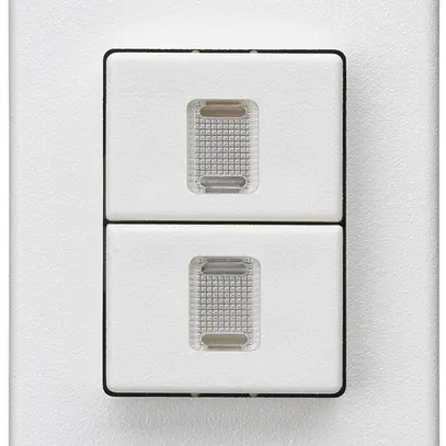 Pulsante doppio INS Hager FLF 10A/250V 0/1L illuminato bianco 