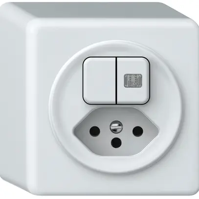 Combinazione AP origin 2×tasti lumin.2CO+T13 1P 0<1 10A 230V 88×88×54mm bianco 
