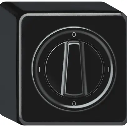 Interrupteur rotatif AP origin interrupteur 0/1L 16A 250V 0-I-0-I 88×88×54mm no 