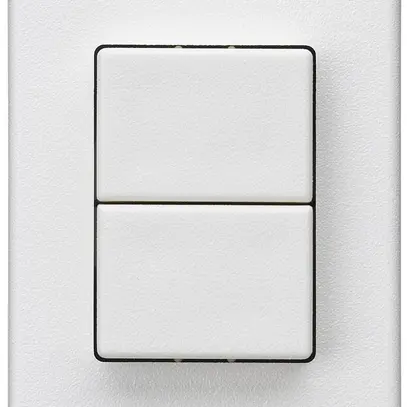 Interruttore a pulsante 2× INS Hager FLF 10A/250V 1/1L bianco 