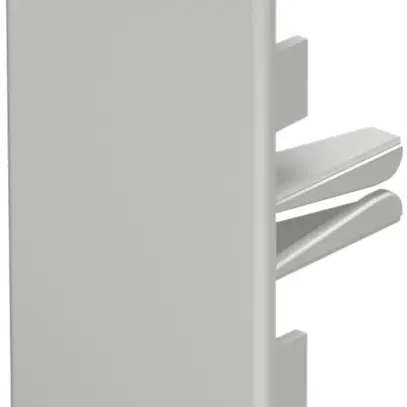 Plaque de fermeture Bettermann pour canal d'installation WDK gris clair 40×90mm 