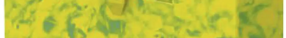 Bloc de distribution PX PTFIX 6X2,5 GNYE 