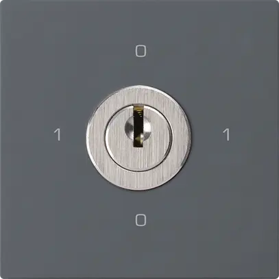 Intérieur interrupteur à clé kallysto 0/1L anthracite avec serrure Kaba 8 