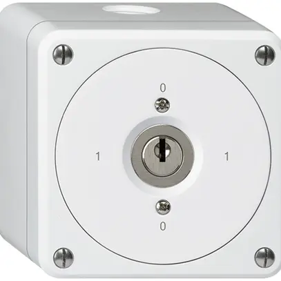 Interruttore a chiave AP robusto senza copertura 0/1P bianco 