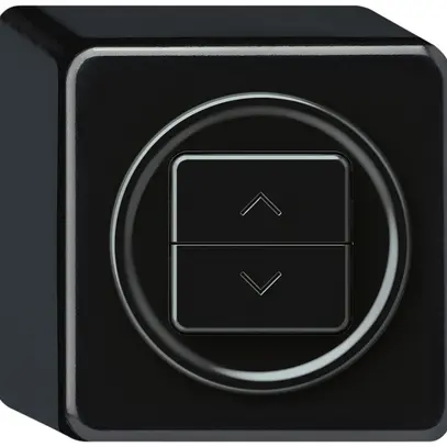 Interrupteur stores AP origin 1P 2×touches 88×88×54mm noir 