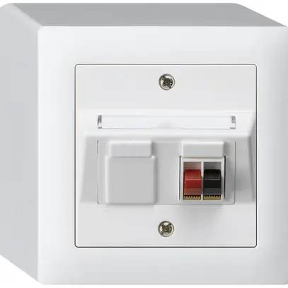 Prise AP audio kallysto 1×blanc borne à étrier pour 1 haut-parleur 