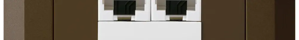 UP-Dose kallysto.line 2×RJ45u parallel braun 
