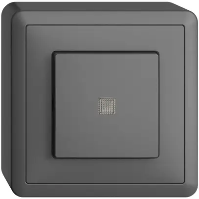 Interrupteur poussoir lum. AP EDIZIOdue 3/2L gris foncé, lentille LED jaune 