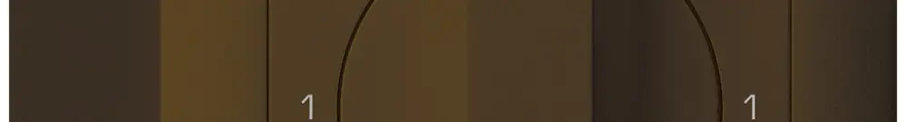 AP-Drehschalter kallysto 5/1L br mit Drehgriff 