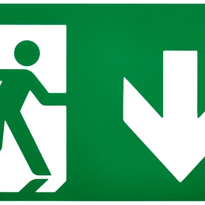 Pictogramme Philips EM159Z sortie vers le bas à double face 270×163mm 