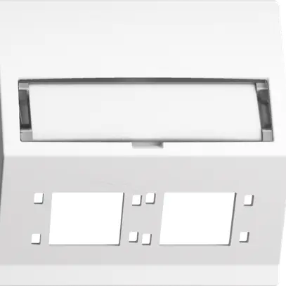 Kit montaggio INS EDIZIOdue F uscita obliqua 2×R&M cat.6A/LC speciale, bianco 
