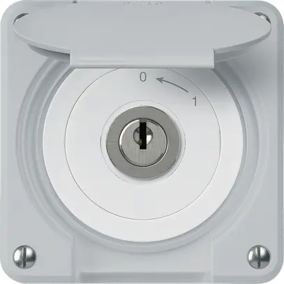 Contact pivotant à clé ENC robusto IP55 gris avec clapet 2P pour combinaison 