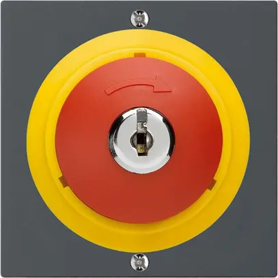 Contact pivotant à clé kallysto ARRÊT D'URGENCE anthracite 