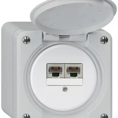 Boîte de raccordement AP robusto IP55 gris 2×RJ45/s CUC séparés 