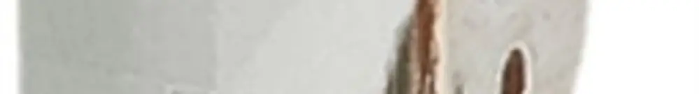 Steckbrücke Phoenix Contact 2L grau FBS 2-8 GY 